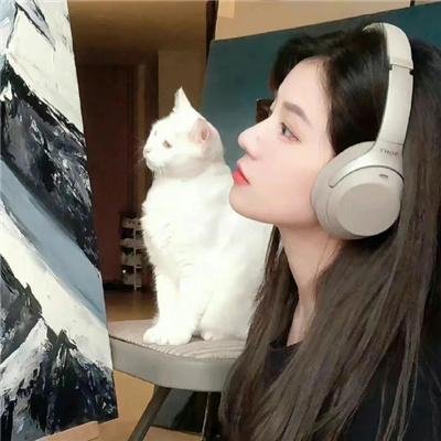 摸金玦之天星陵