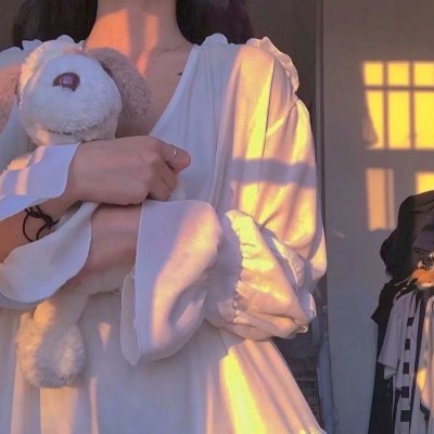 本小姐乃白鸟丽子 电影版